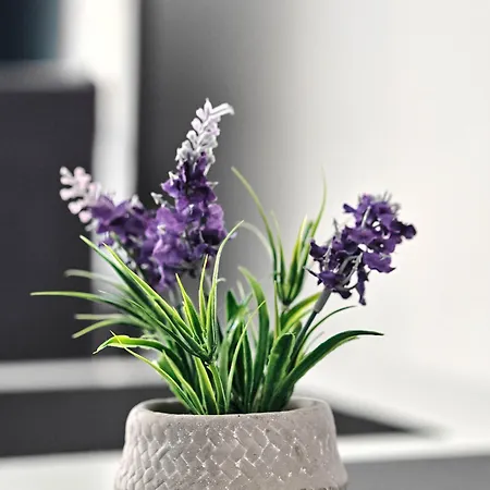 Purisima 59 Lägenhet